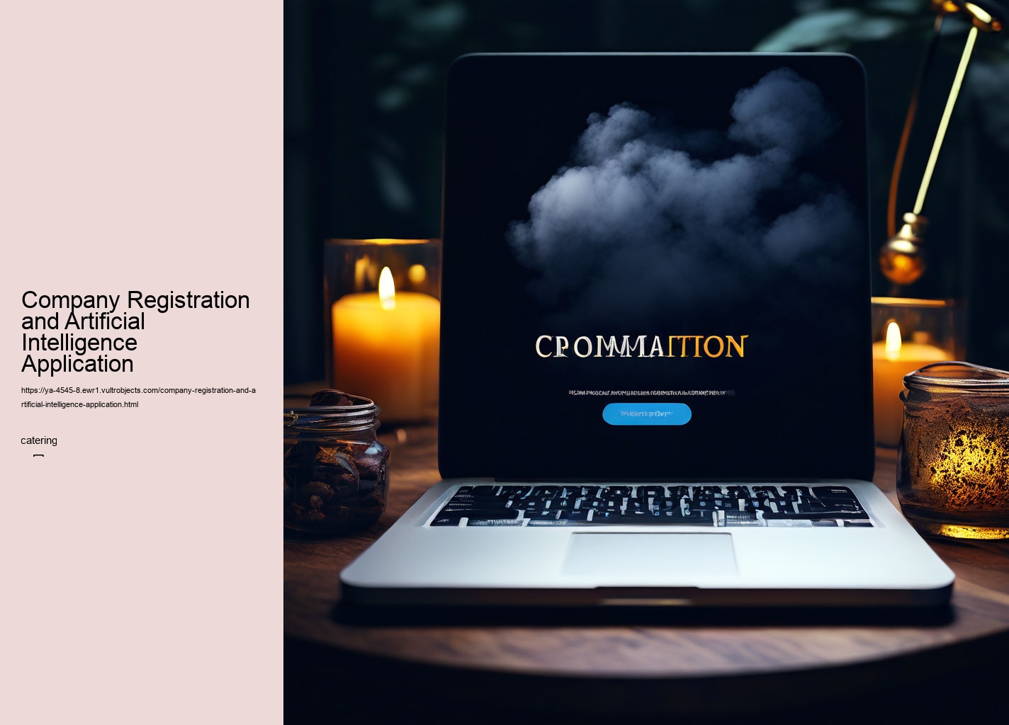 Company Registration and Artificial Intelligence Application